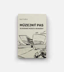 Mzejn pas